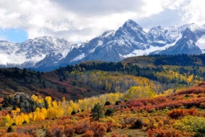 fall_colors_near_ridgway_colorado